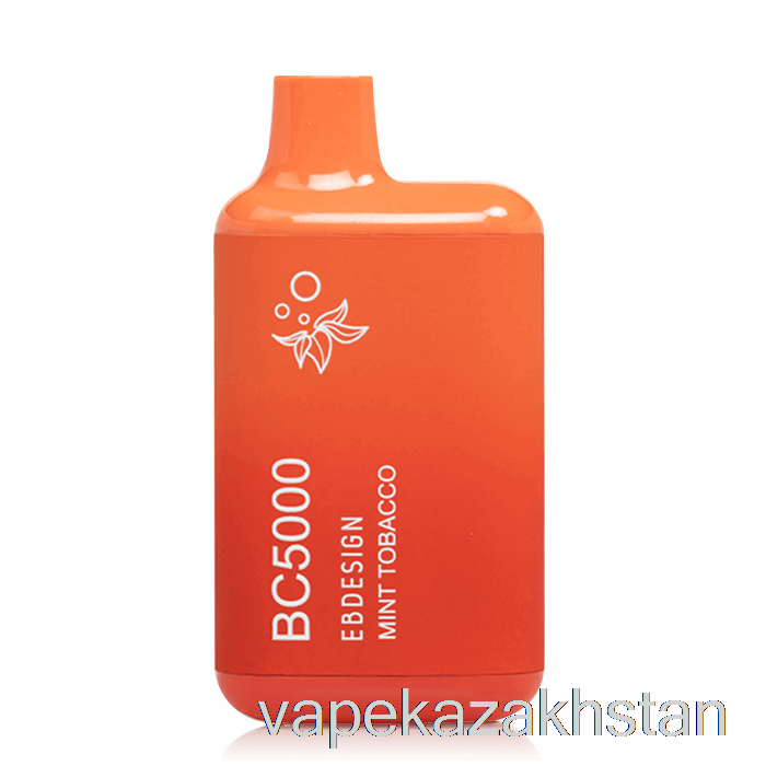 Vape Disposable BC5000 Disposable Mint Tobacco